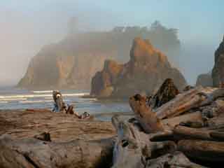 صور Olympic National Park متنزه وطني